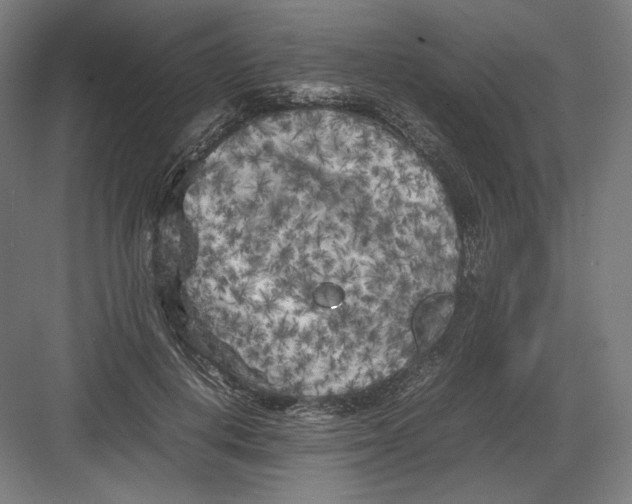 X0000082170648200702092244