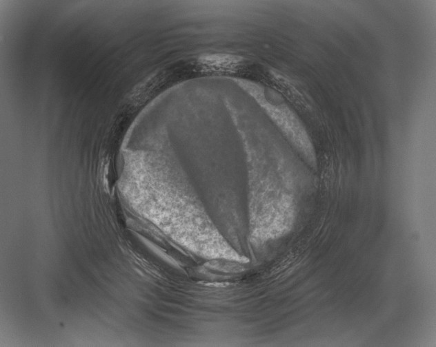 X0000082170649200702092244