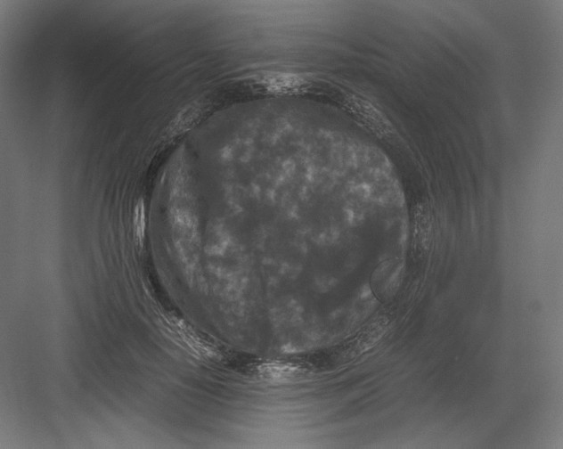 X0000082170650200702092244