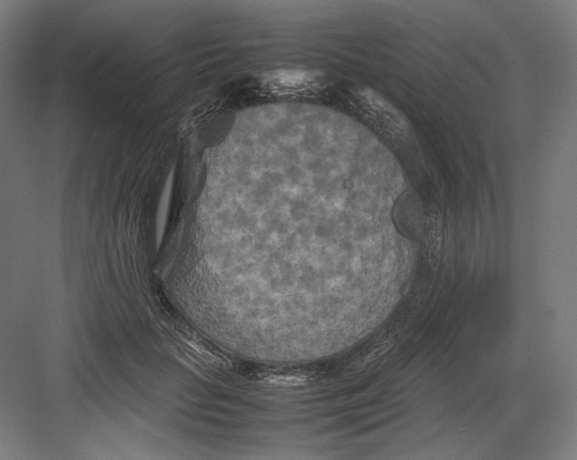 X0000082170653200702092245