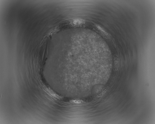 X0000082170654200702092245