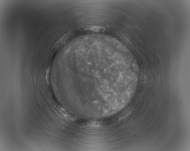 X0000082170656200702092245