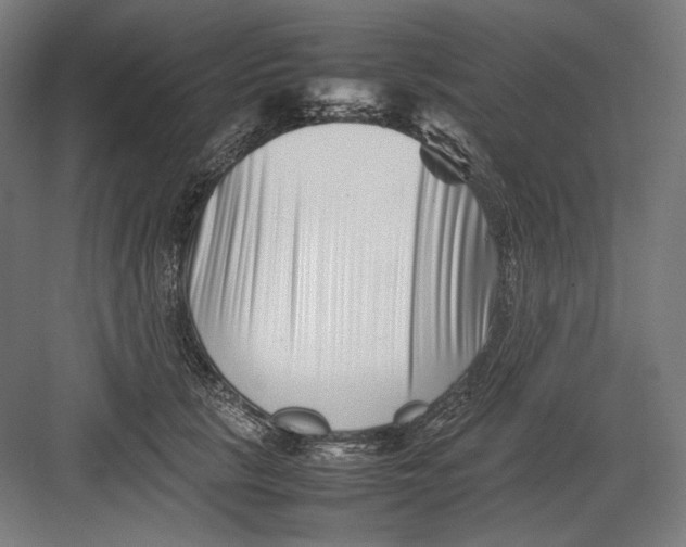 X0000082170657200702092245