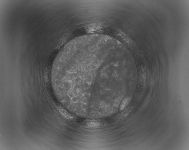 X0000082170658200702092245