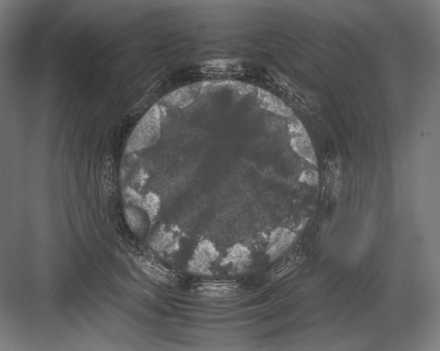 X0000082170659200702092245