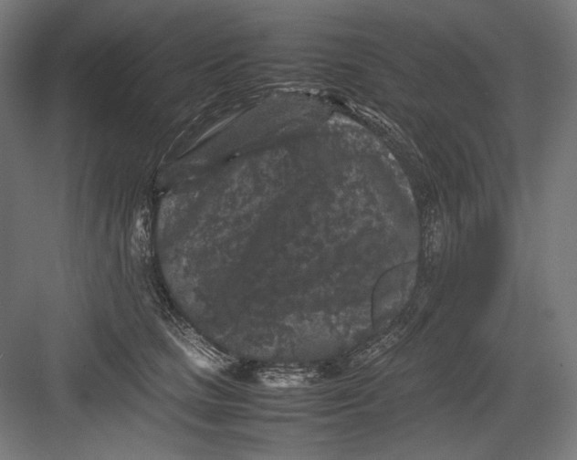 X0000082170661200702092245