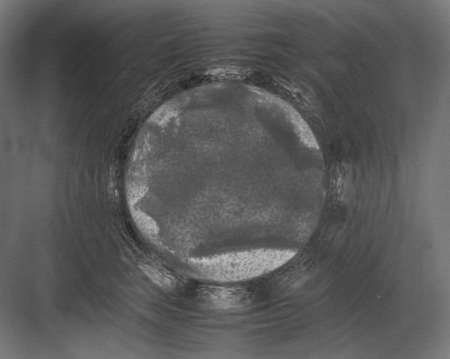 X0000082170663200702092245