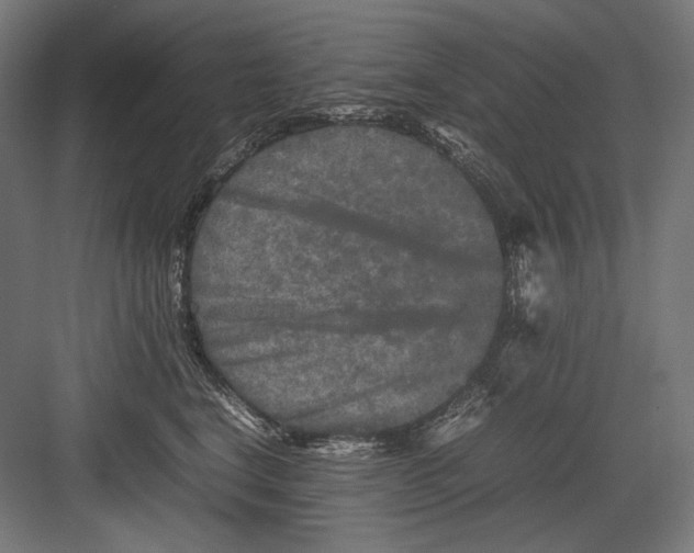 X0000082170664200702092245