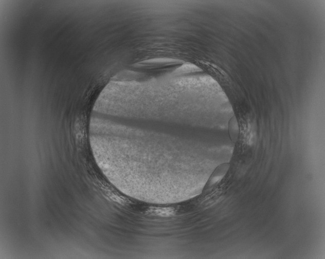 X0000082170665200702092245