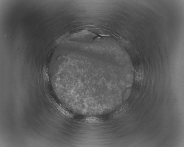 X0000082170666200702092245