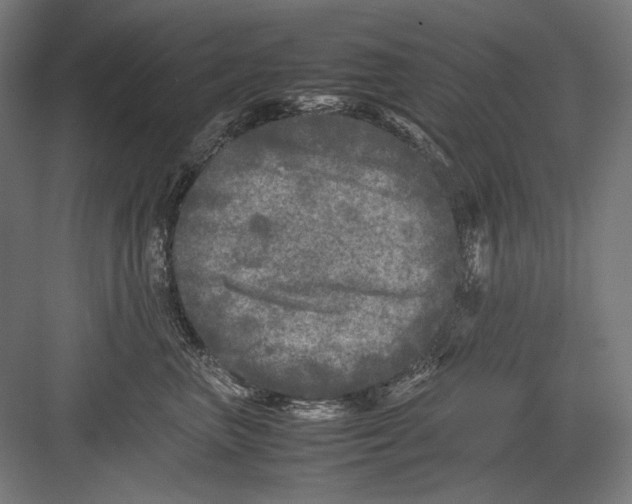 X0000082170667200702092245