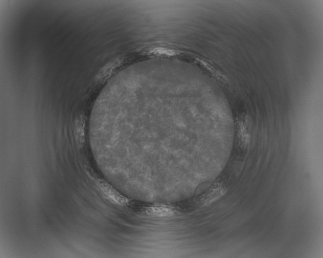 X0000082170668200702092245