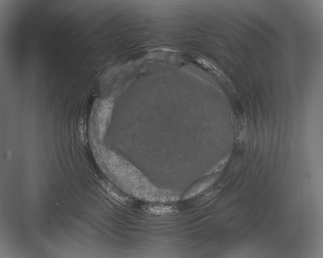 X0000082170669200702092245