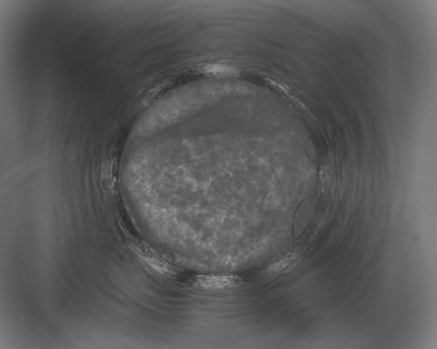 X0000082170671200702092245