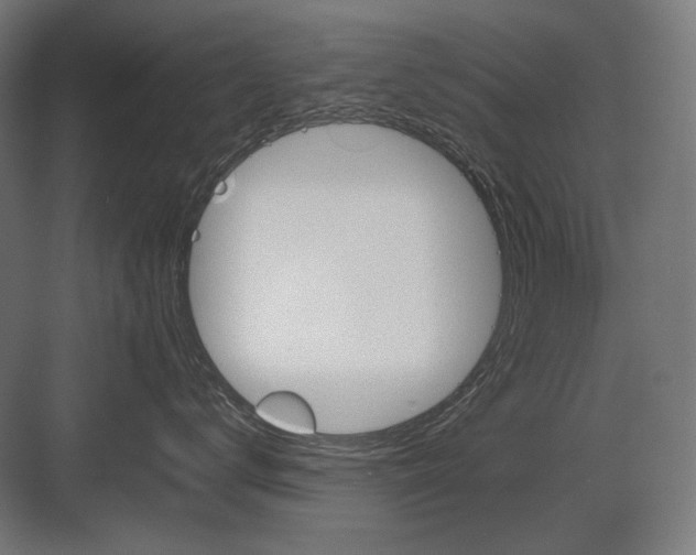 X0000082170672200702092245