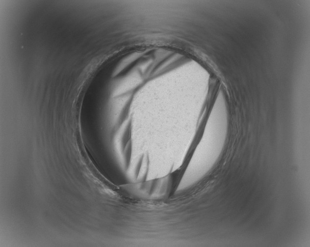 X0000082170673200702092244