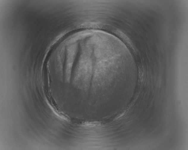 X0000082170674200702092244