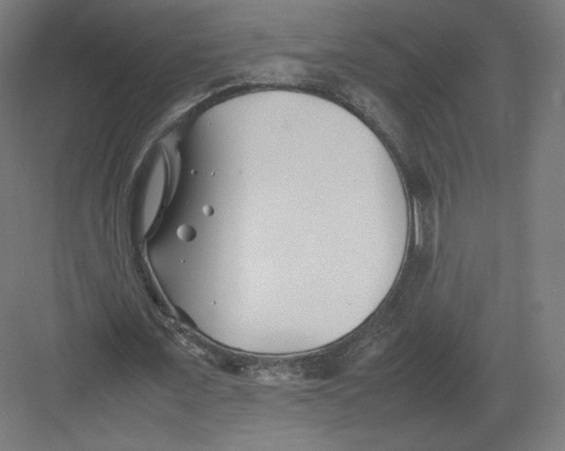 X0000082170675200702092244