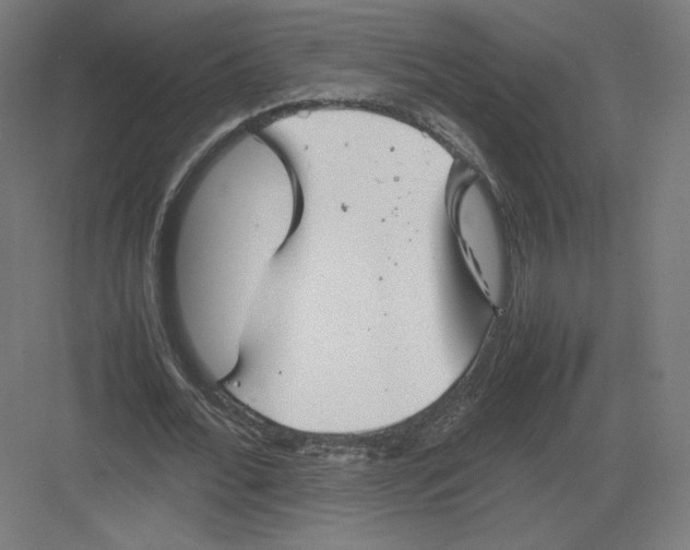 X0000082170676200702092244