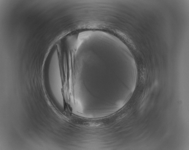 X0000082170678200702092244