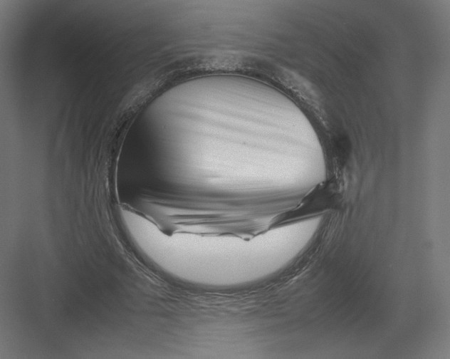 X0000082170681200702092244