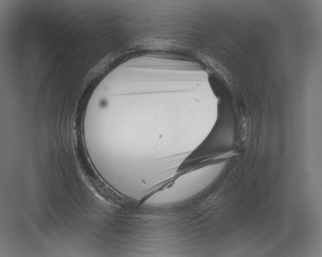 X0000082170682200702092244