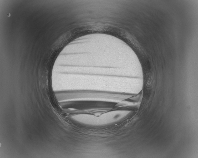 X0000082170685200702092244