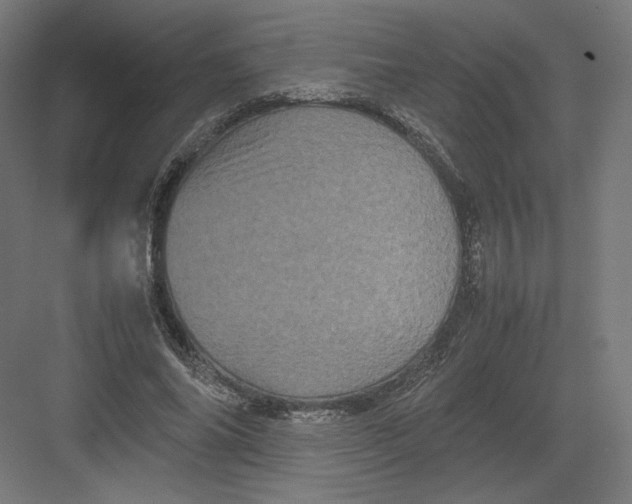 X0000082170686200702092244