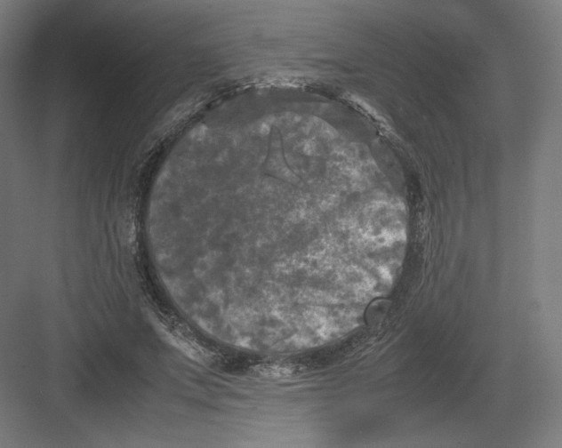 X0000082170687200702092244