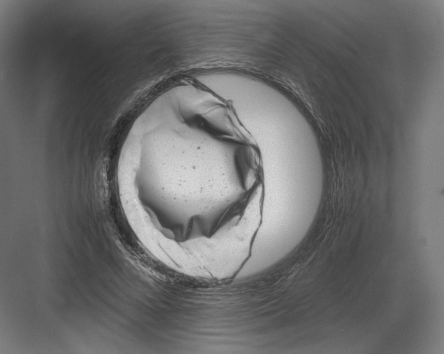 X0000082170688200702092244