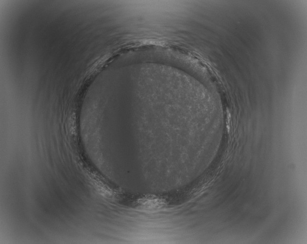 X0000082170689200702092244