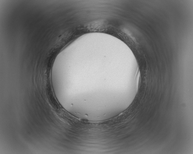 X0000082170690200702092244