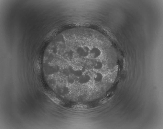 X0000082170691200702092244