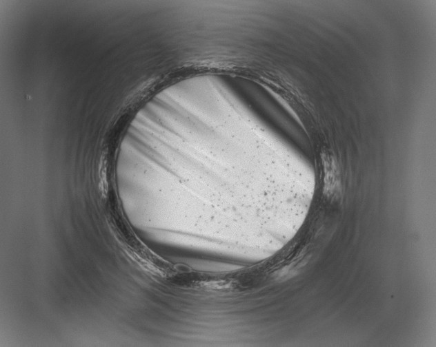 X0000082170692200702092244