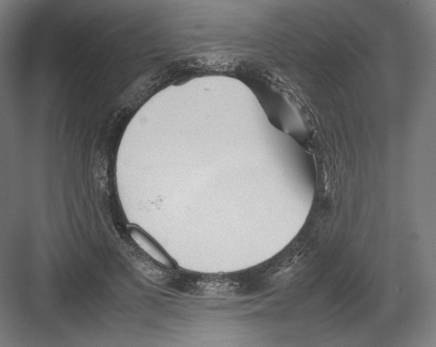 X0000082170693200702092244