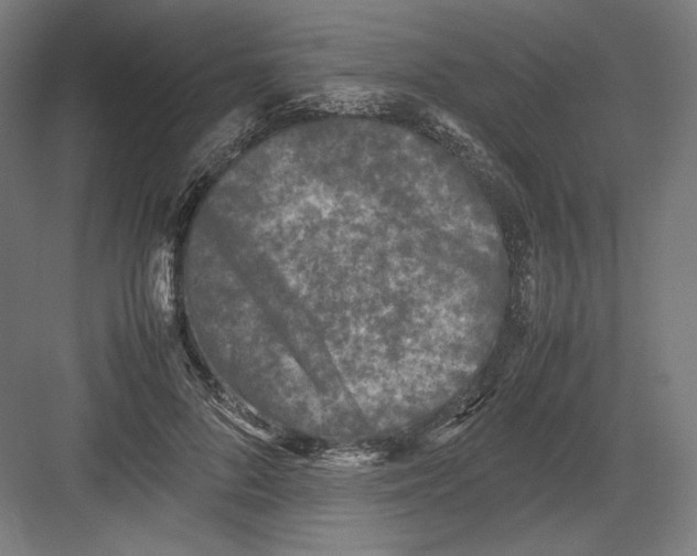 X0000082170696200702092244