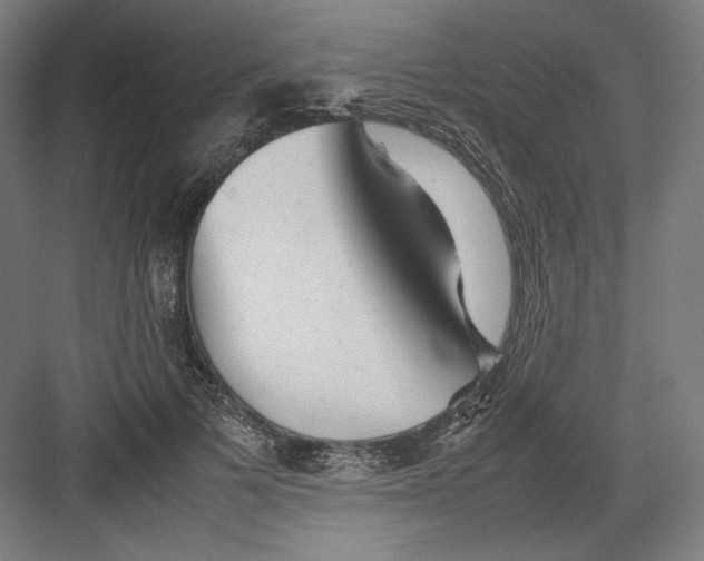 X0000082170697200702092244