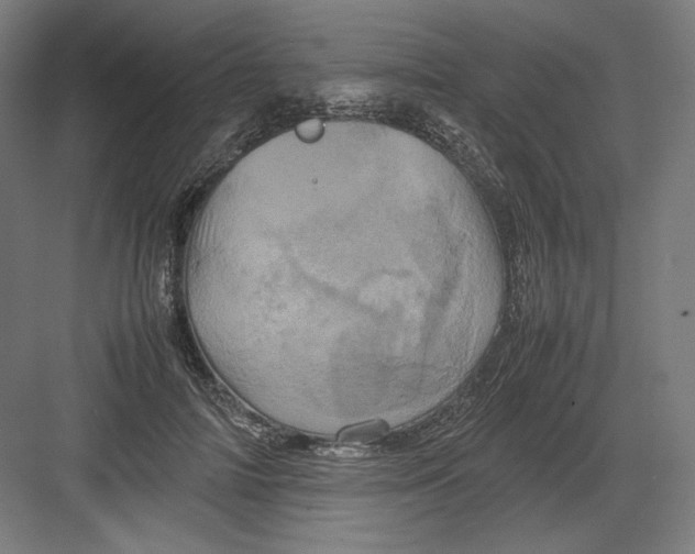 X0000082170698200702092244