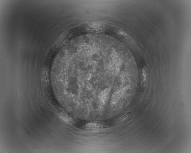 X0000082170699200702092244