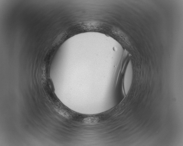 X0000082170700200702092244