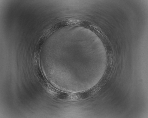 X0000082170701200702092244