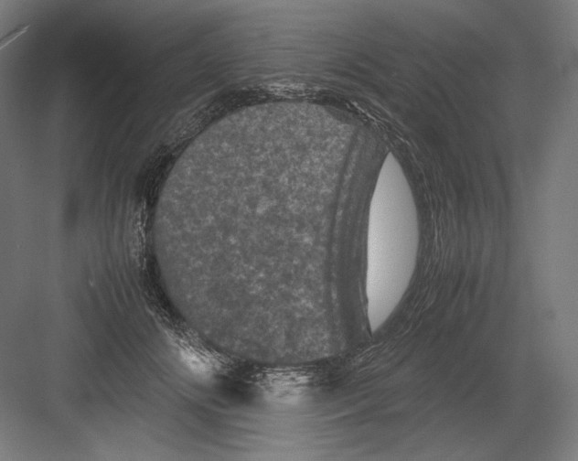 X0000082170702200702092244