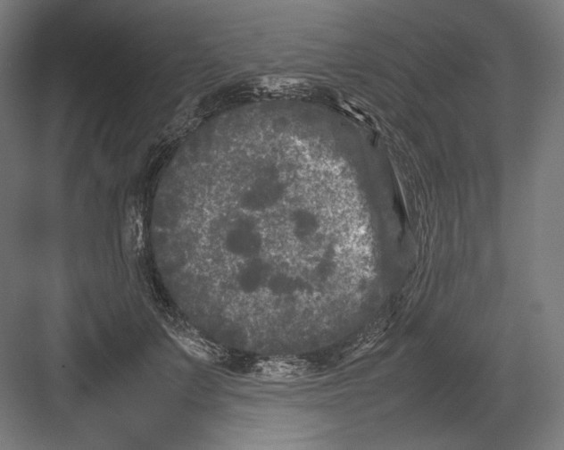 X0000082170703200702092244