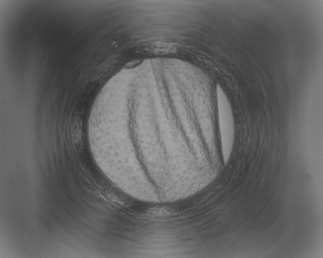 X0000082170704200702092244