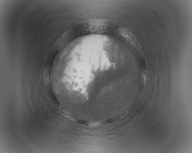 X0000082170705200702092244