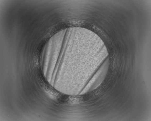 X0000082170706200702092244