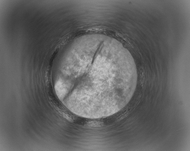 X0000082170708200702092243