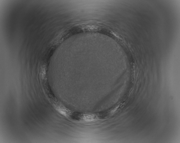 X0000082170709200702092243