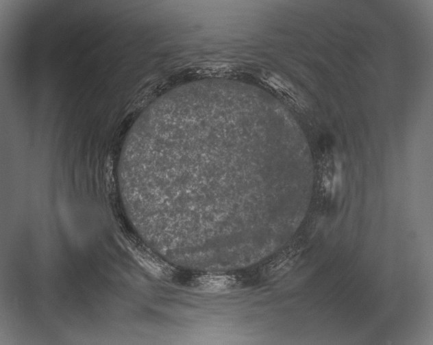 X0000082170711200702092243