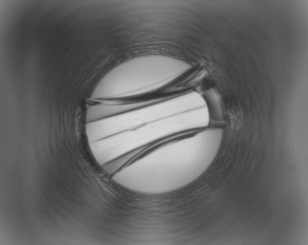 X0000082170712200702092243